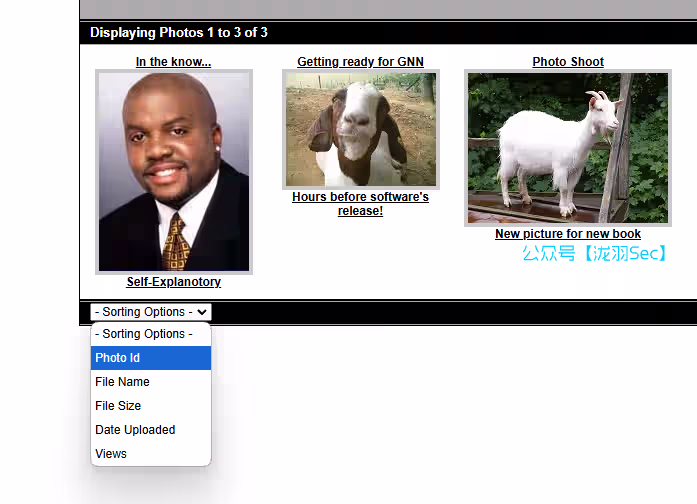 image-20241208022017668