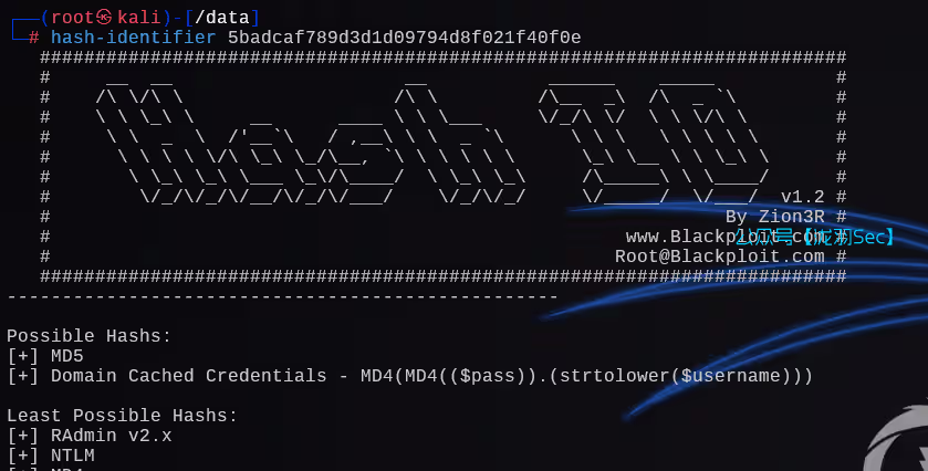 image-20241208033624851