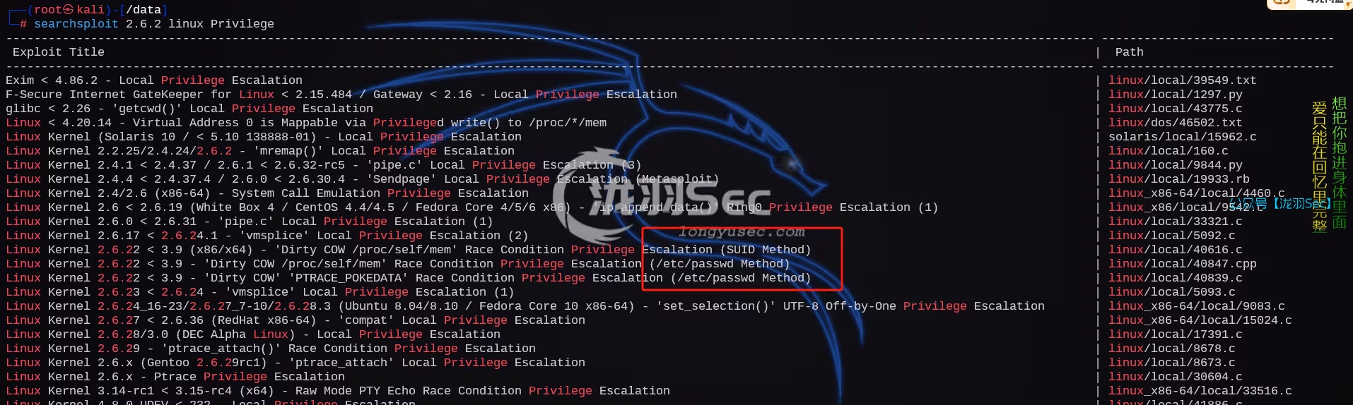 image-20241208123556090