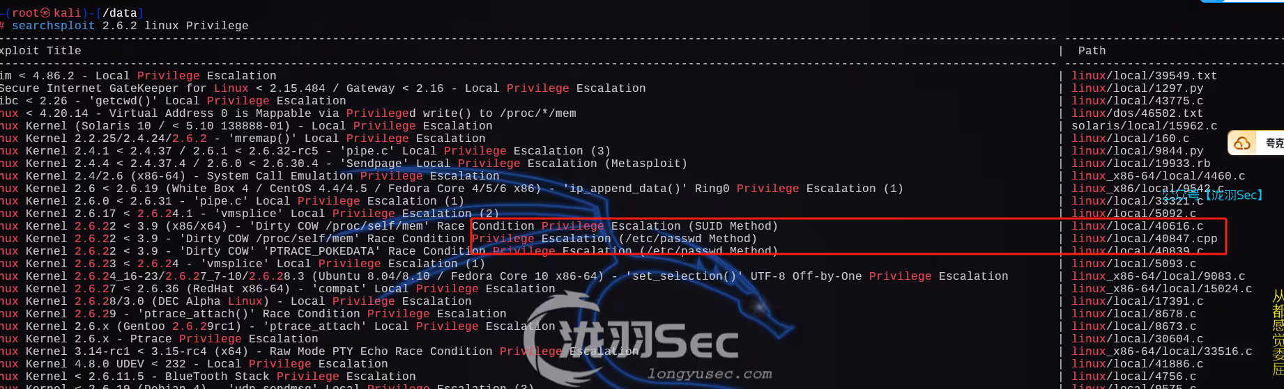 image-20241208142905729