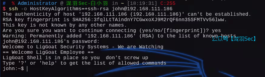 image-20241208182057871