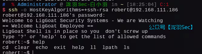 image-20241208182707899