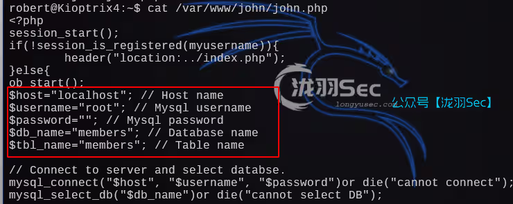 image-20241208194507124