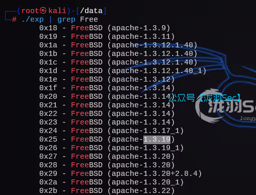 image-20241208204649375