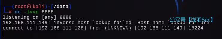 image-20241208215804093