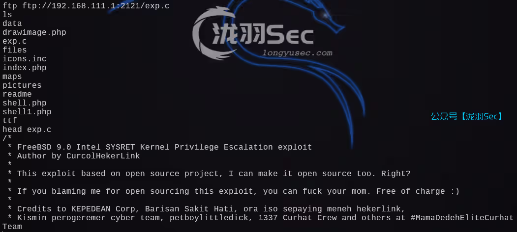 image-20241209001232238