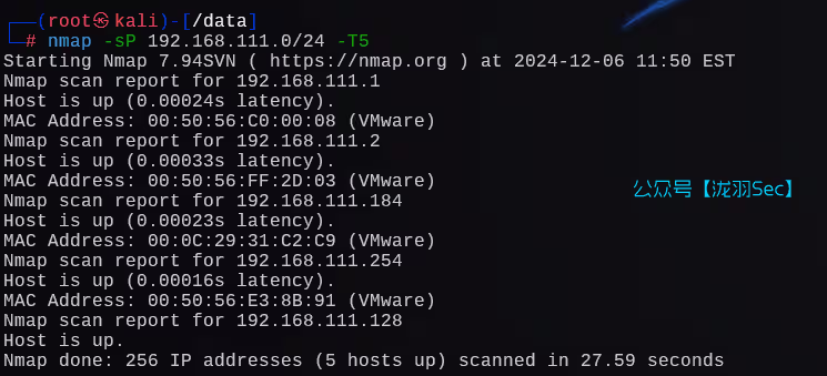 image-20241207005237705