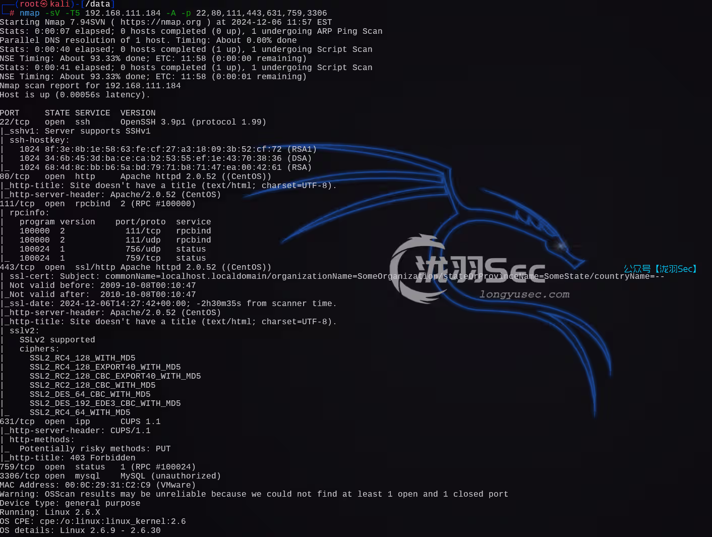 image-20241207011541281