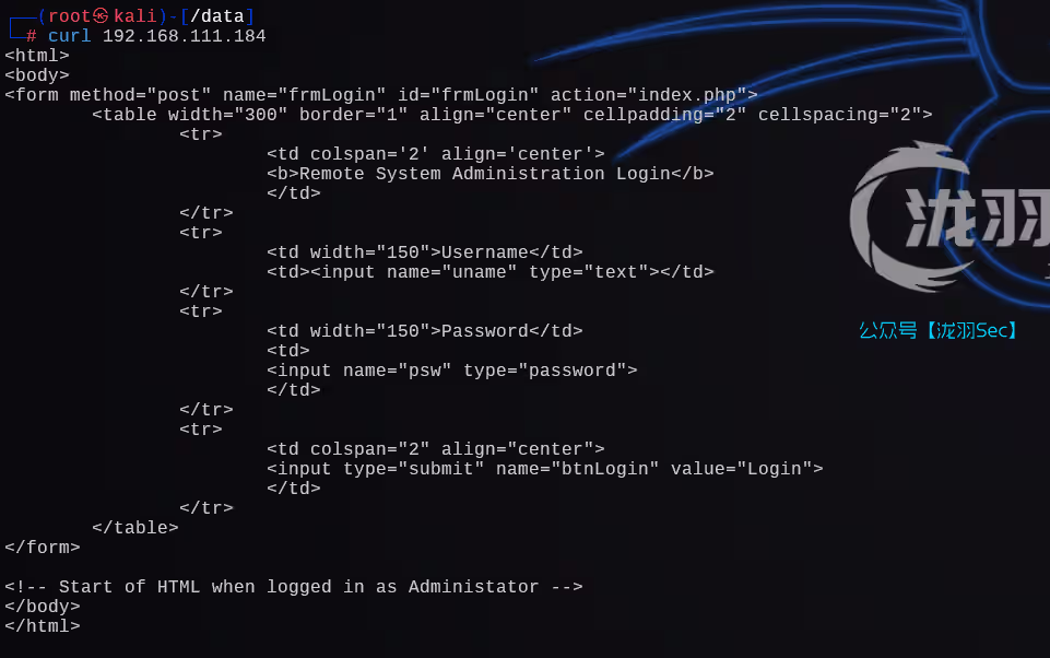 image-20241207010005890