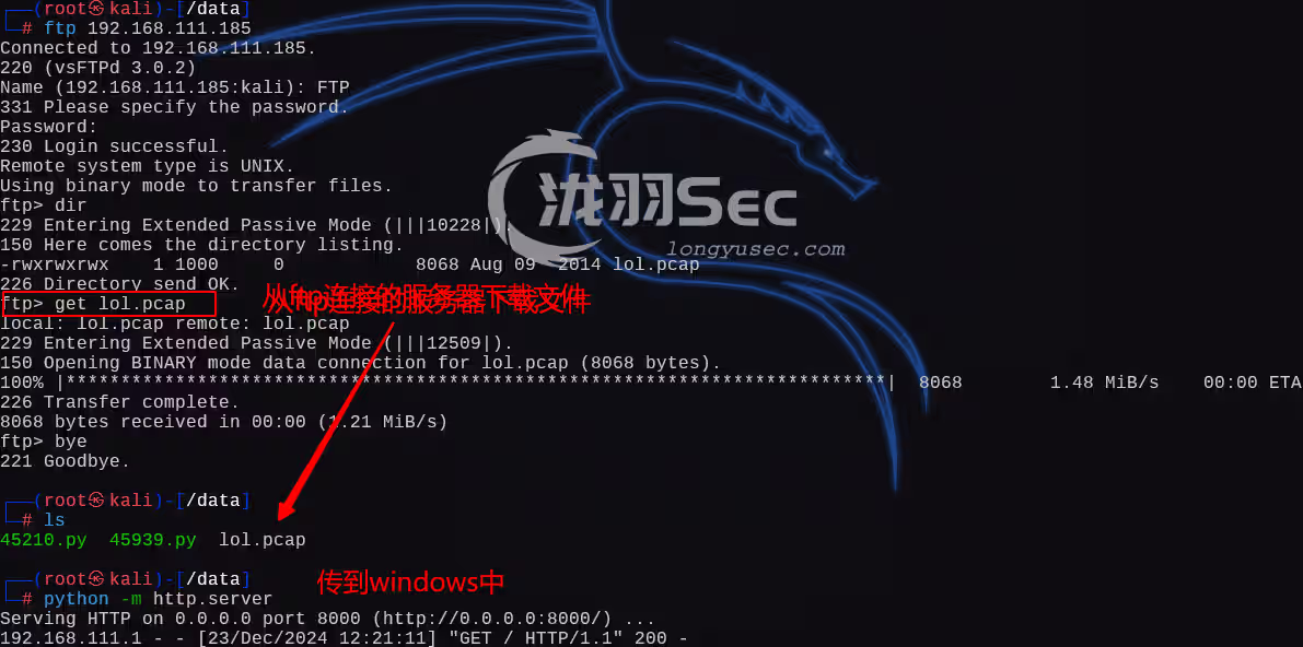 image-20241224012339704