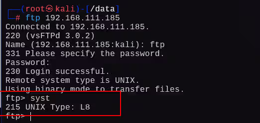 image-20241224030049793