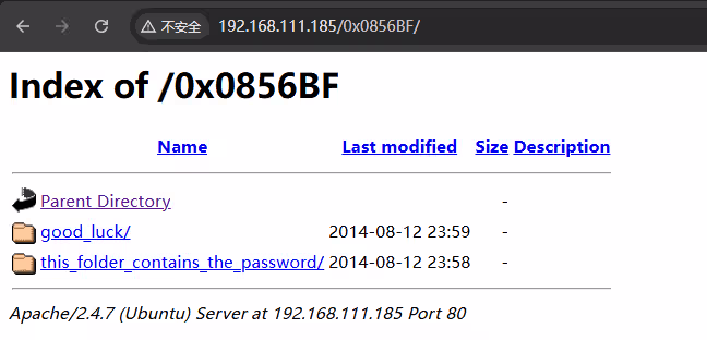 image-20241224033850469