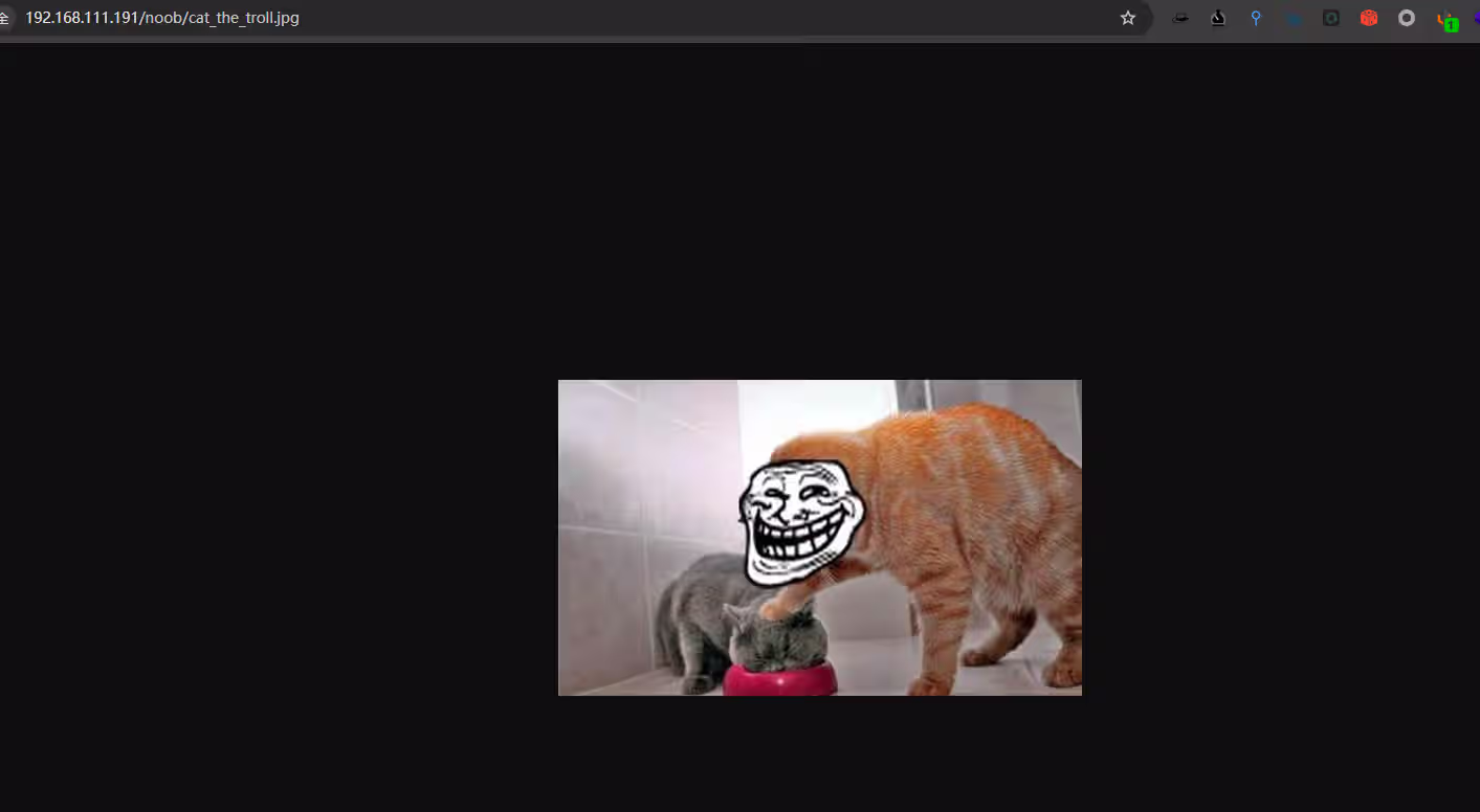 image-20241225125838671