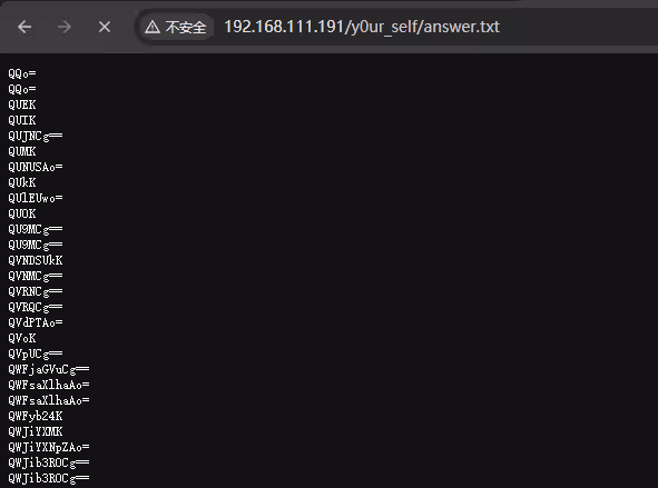 image-20241225185820391