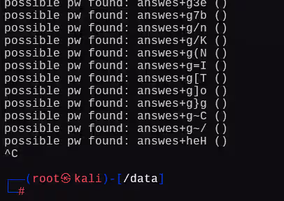 image-20241225191406589