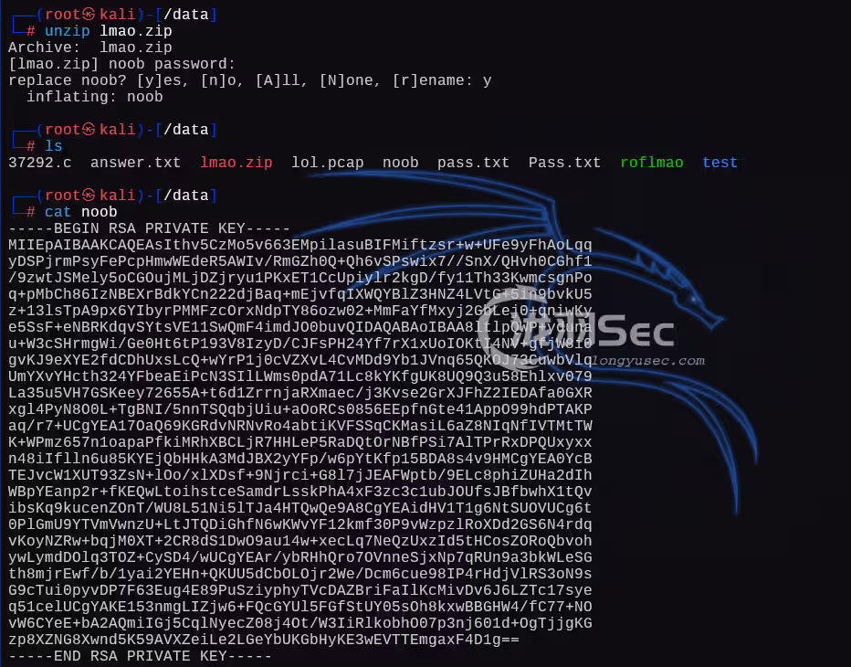 image-20241225191800218