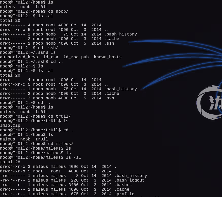 image-20241226002857786