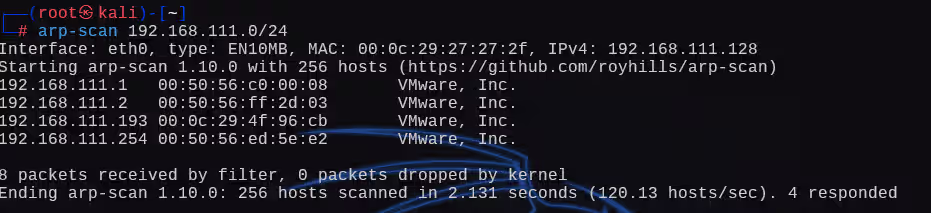 image-20241228194825173