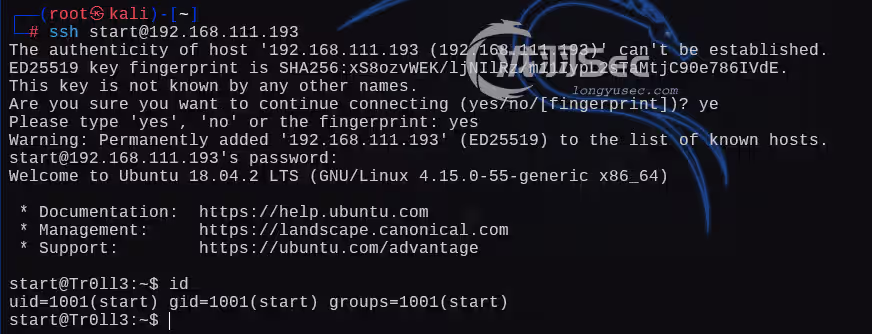 image-20241228194844200