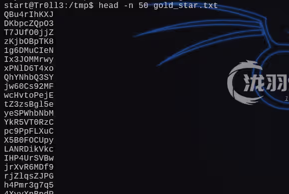 image-20241228203440930