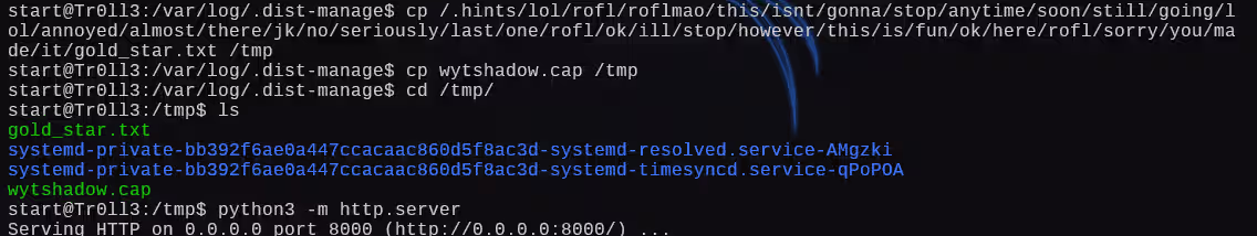 image-20241228203407019