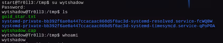 image-20241228204222875