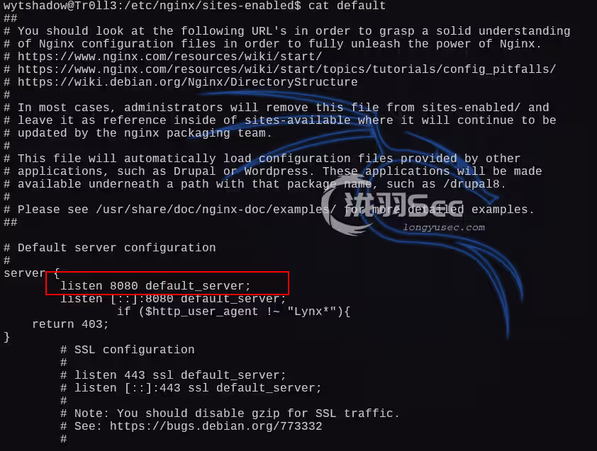 image-20250102230432634