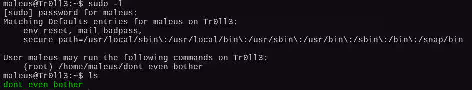 image-20250103020748431