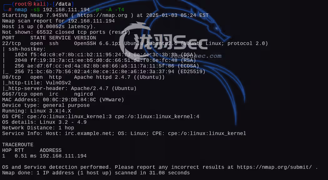 image-20250103182522466