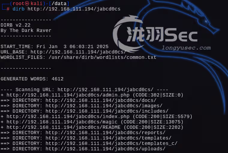 image-20250103190452986