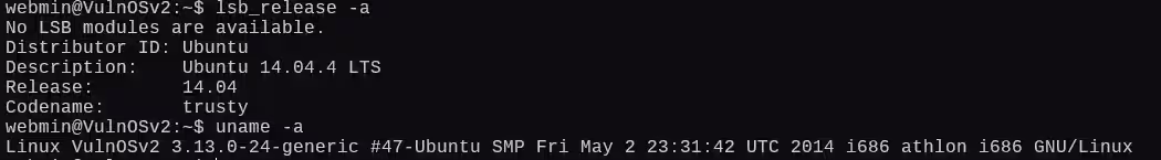 image-20250104015134260