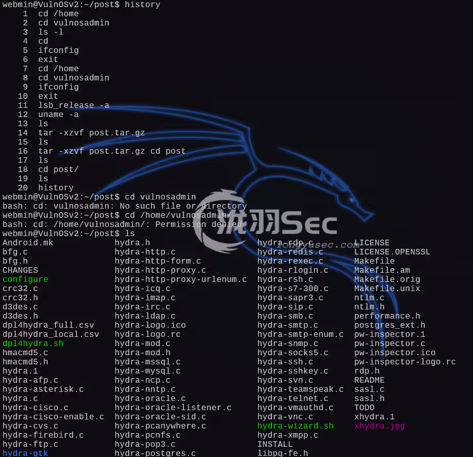 image-20250104015628904