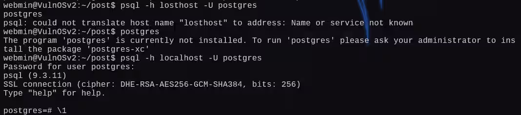 image-20250104022333087