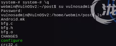 image-20250104023201085