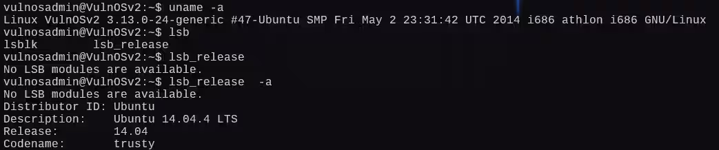 image-20250104171147615