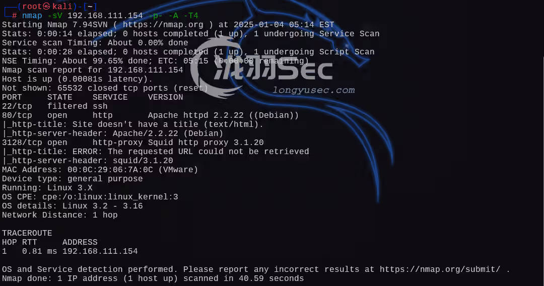 image-20250104181539375