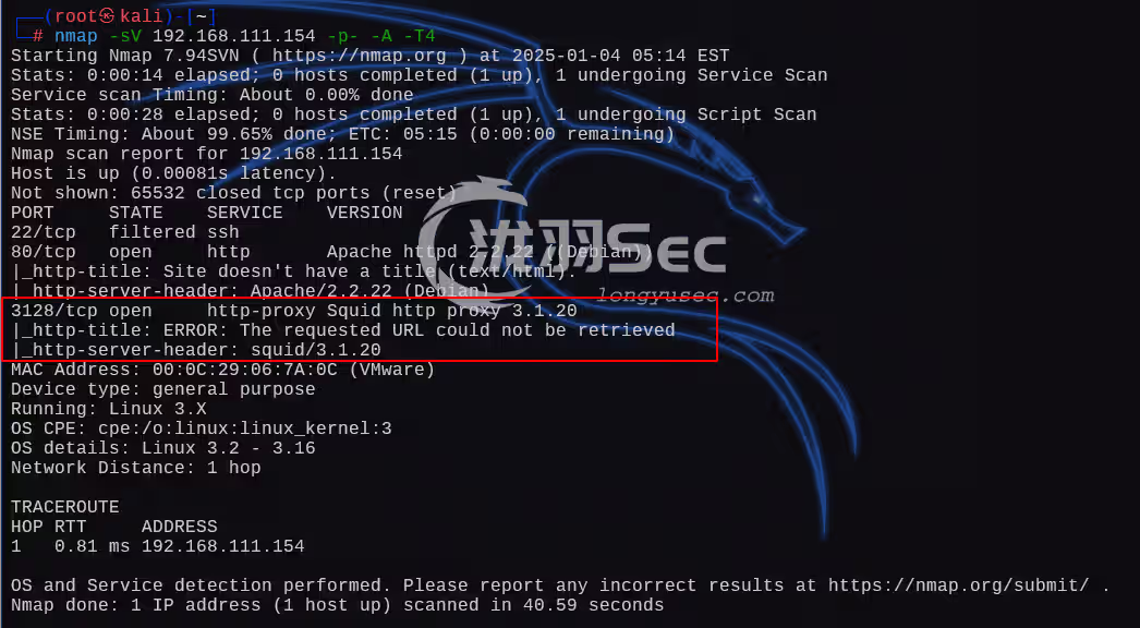 image-20250104190617338