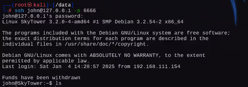 image-20250104193209423