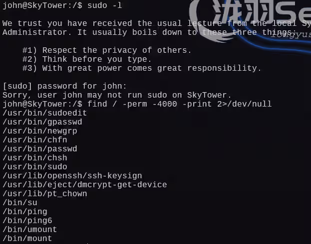 image-20250104193655770