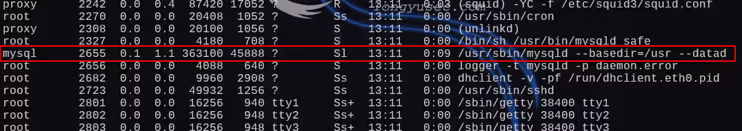 image-20250104194633556