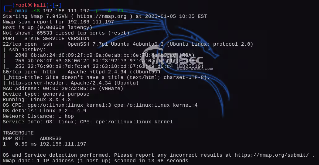 image-20250105232540760