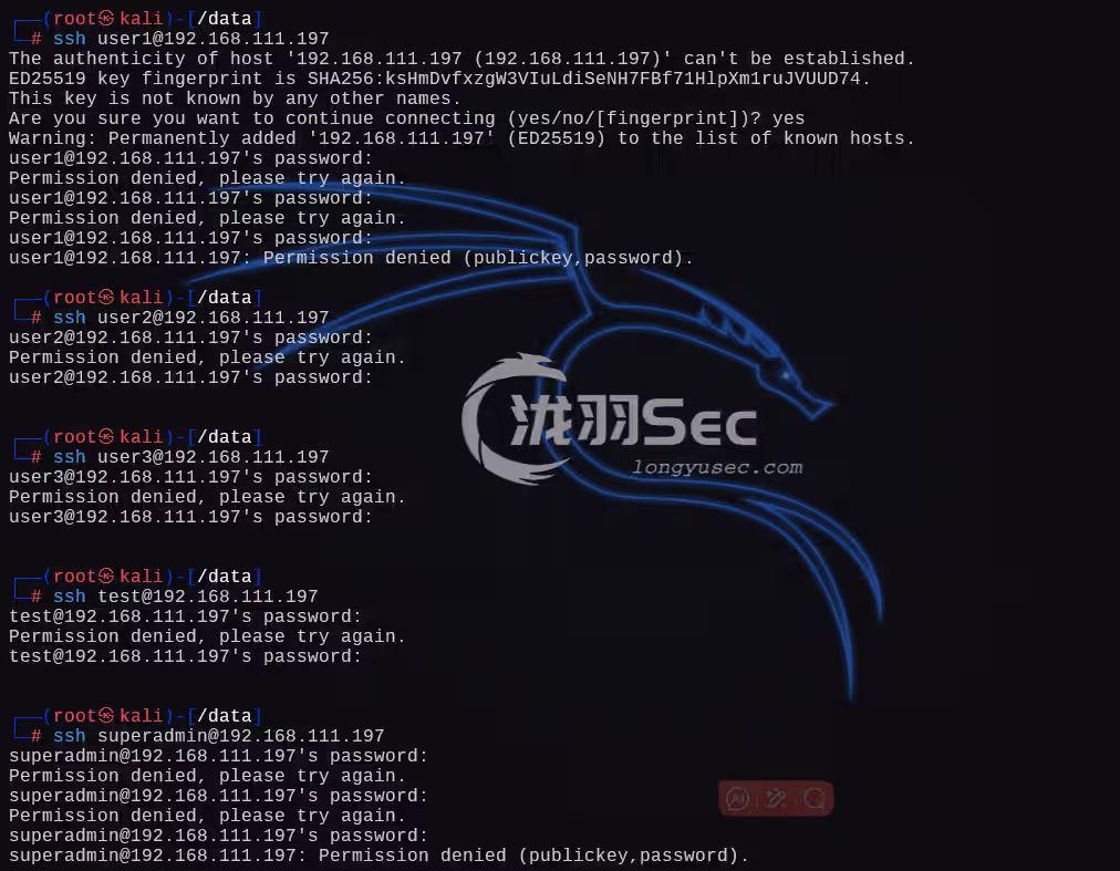 image-20250106010113129